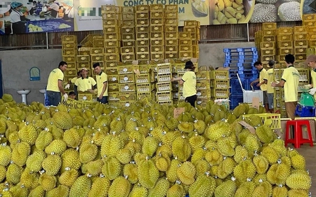 Việt Nam có 14 mặt hàng nông sản xuất khẩu chính ngạch sang Trung Quốc. (Ảnh: Báo Đầu tư)