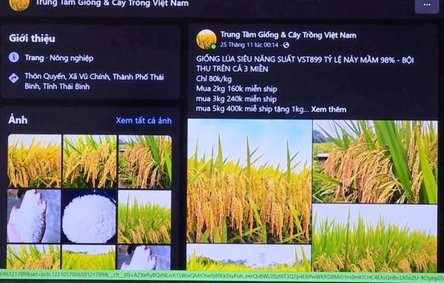 Bắt “nữ quái” lừa bán lúa qua Facebook, chiếm đoạt tiền cọc của khách hàng