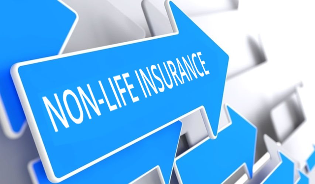 Xuất hiện công ty bảo hiểm phi nhân thọ mới Techcom Non-life Insurance