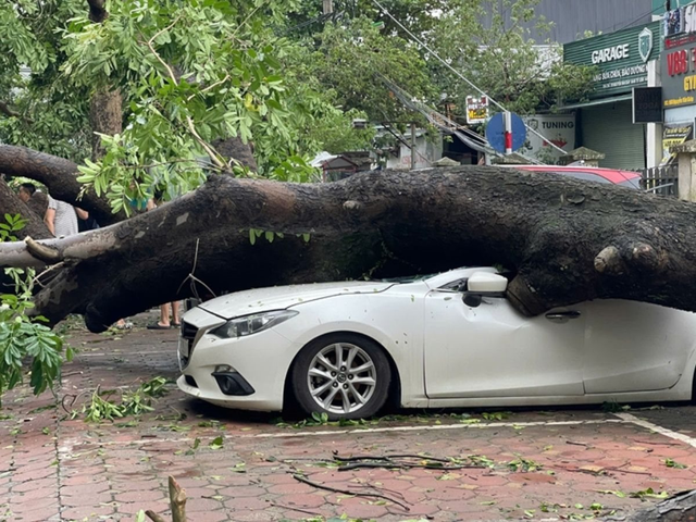 Một doanh nghiệp bảo hiểm lớn có thể giảm kế hoạch lãi năm nay do ảnh hưởng của cơn bão số 3 Yagi