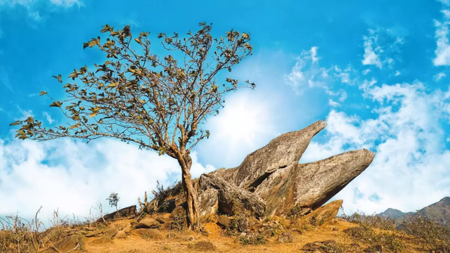 Việt Nam có 1 "ngôi làng trên mây" nằm ở độ cao hơn 2.800m, đẹp ngỡ “chốn bồng lai”, hiện đã vào mùa đẹp nhất: Hút nườm nượp người đến săn mây- Ảnh 10.