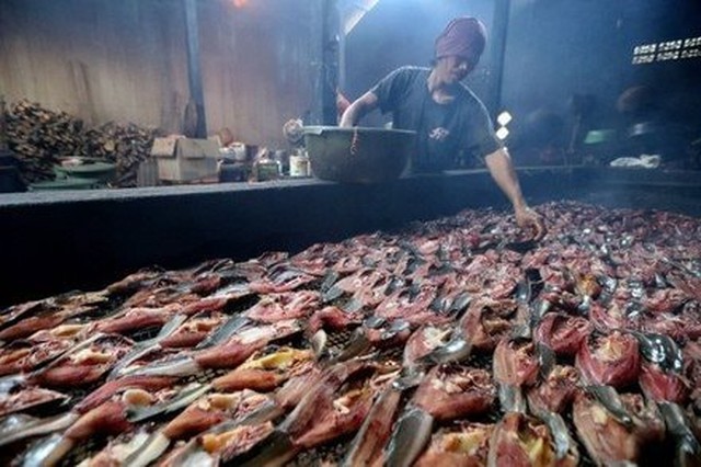 "Cá tỷ đô" của Việt Nam được Mỹ, Trung Quốc cực mê vì vừa rẻ vừa ngon: thu về 1,7 tỷ USD, sản lượng dẫn đầu thế giới