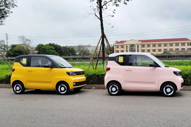 Một doanh nghiệp trên sàn chứng khoán vừa "nổ đơn" 1.000 xe điện Trung Quốc cho hãng taxi Việt