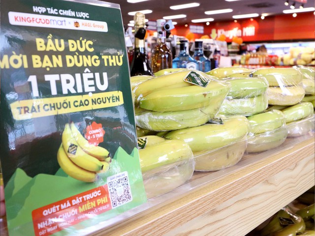 Bầu Đức tặng 1 triệu quả chuối Pleiku Sweet cho khách hàng: “Ai ăn thấy dở cứ gọi điện cho tôi” Bầu Đức tặng 1 triệu quả chuối Pleiku Sweet cho khách hàng: “Ai ăn thấy dở cứ gọi điện cho tôi”