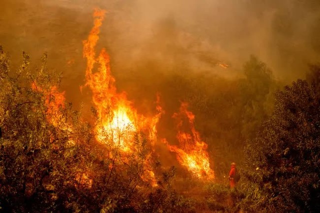 Một lính cứu hỏa đang chiến đấu với đám cháy bùng lên dữ dội ở Moorpark, California, vào ngày 7/11/2024. (Ảnh: AP)