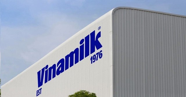 SSI: Hàng loạt đối thủ đang ‘cắt’ thị phần nội địa của Vinamilk