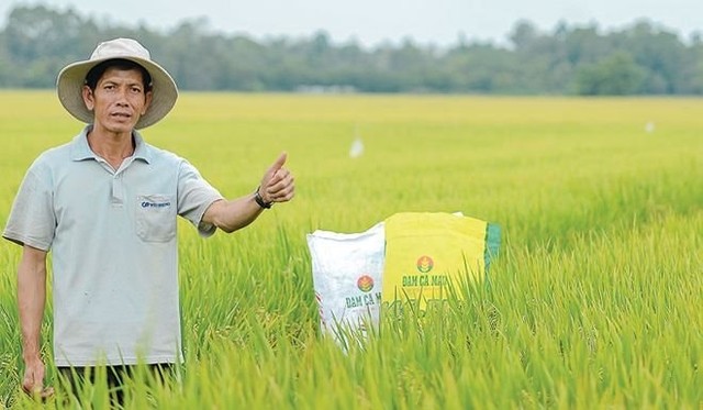 Lãi quý 4/2024 của Đạm Cà Mau giảm 74%, lên kế hoạch 2025 giảm 32%