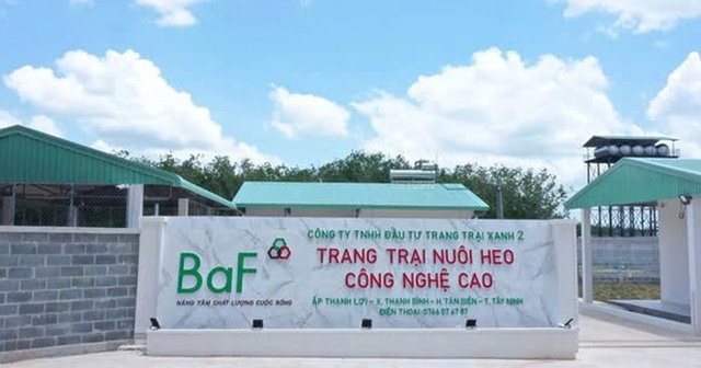 Baf Việt Nam muốn ‘thâu tóm’ thêm 1 công ty chăn nuôi