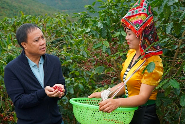 CEO Phúc Sinh nói về ác mộng cà phê 2023: Lần đầu tiên cà phê giá rẻ từ Việt Nam không còn vô tận, traders và môi giới kiệt sức, loạt kho phá sản