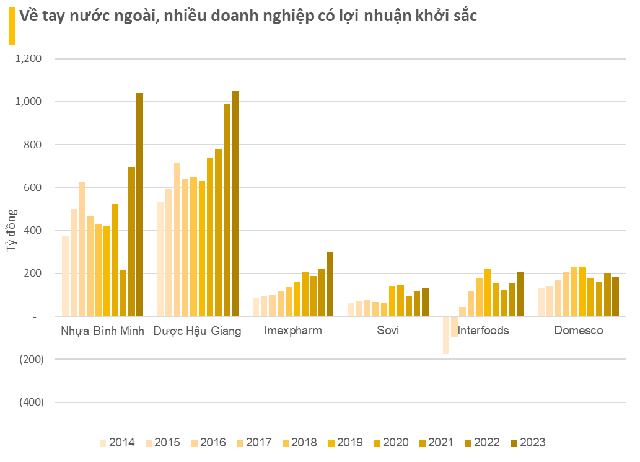 Về tay 'đại gia' nước ngoài, lợi nhuận của loạt doanh nghiệp Việt phá đỉnh lịch sử, xóa hết lỗ lũy kế- Ảnh 2.