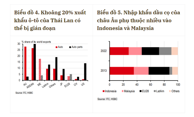 HSBC: Biển Đỏ cảnh báo đỏ, ASEAN cần thận trọng- Ảnh 3.