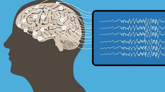 Trước khi qua đời, con người có nghe được lời người thân nói không? Khoa học có câu trả lời gây bất ngờ- Ảnh 1.