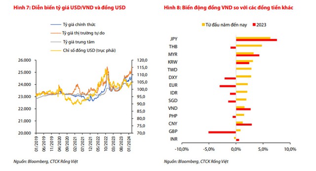 Chuyên gia chỉ ra 3 nguyên nhân nội tại khiến tiền Đồng mất giá từ đầu năm- Ảnh 2.