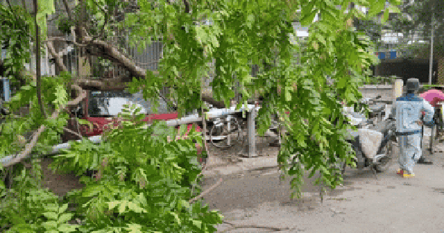 Hà Nội sau trận mưa lốc kinh hoàng: Hàng loạt cây cối đổ rạp, nhà trọ bị cuốn bay mái khiến bố mẹ phải ôm con di tản trong đêm