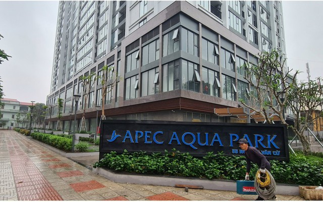 Công ty "họ APEC" API kinh doanh ra sao sau vụ thao túng chứng khoán đình đám khiến chủ tịch vướng lao lý?