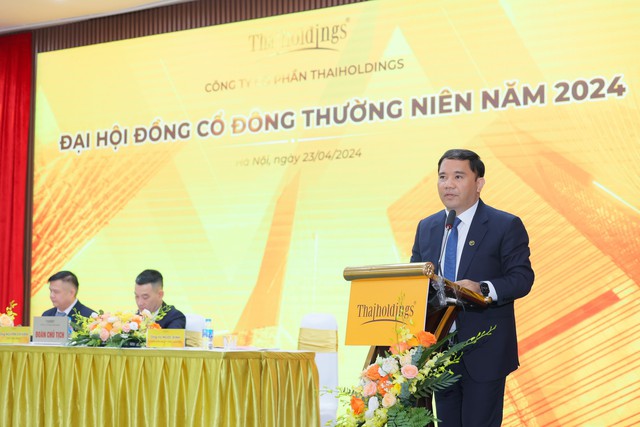 ĐHCĐ Thaiholdings: Giờ là cơ hội để M&A các dự án bất động sản với chi phí thấp- Ảnh 2.