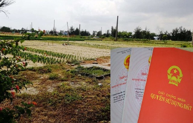 Người có đất nông nghiệp bị thu hồi sẽ được đền bù thế nào từ năm 2025? Người có đất nông nghiệp bị thu hồi sẽ được đền bù thế nào từ năm 2025?