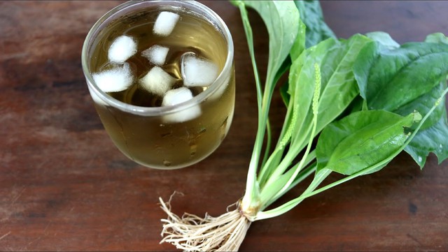 Việt Nam có 1 loại lá mọc dại, pha với nước thành thuốc quý cho thận, hạ đường huyết, thanh nhiệt giải độc cực tốt- Ảnh 2.