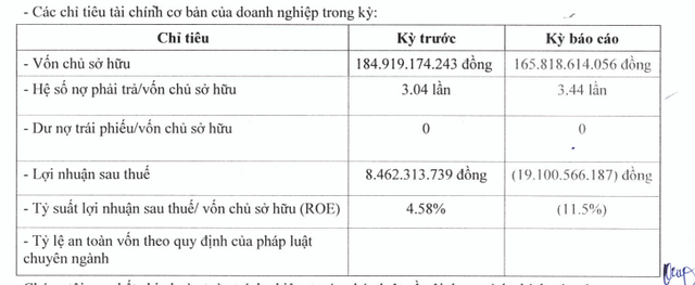 Apec Land Huế của ông Nguyễn Đỗ Lăng báo lỗ 19 tỷ đồng, nợ phải trả gấp 3,4 lần vốn chủ- Ảnh 1.