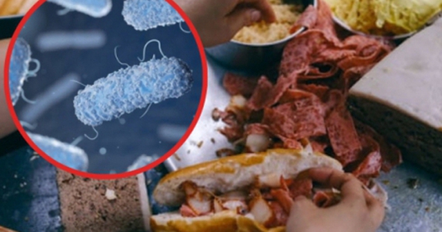 Vi khuẩn Salmonella được tìm thấy trong bánh mì khiến hơn 500 người ngộ độc ở Đồng Nai nguy hiểm thế nào?