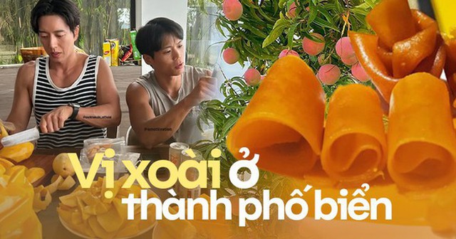 Du lịch Nha Trang phải trải nghiệm vườn xoài "đào tiên" và ăn bánh xoài: Chẳng trách Park Hae Jin cùng hội bạn "xử" hết 25kg loại quả này tại thành phố biển