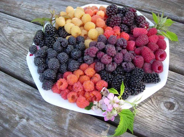 Chuyên gia chỉ ra 4 loại trái cây tốt cho sức khỏe tim mạch, giúp kéo dài tuổi thọ thêm nhiều năm- Ảnh 2.