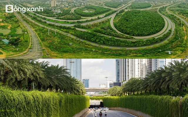 Ngắm 'cánh rừng' xanh bạt ngàn trên Đại lộ 7.500 tỷ đồng rộng tới 16 làn xe, dài và đẹp bậc nhất Việt Nam