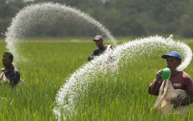 Một mặt hàng của Việt Nam được Nhật Bản săn lùng sau khi Trung Quốc cấm xuất khẩu, nhóm cổ phiếu liên quan "bốc đầu" tăng mạnh, kỳ vọng hưởng lợi nhờ chính sách mới