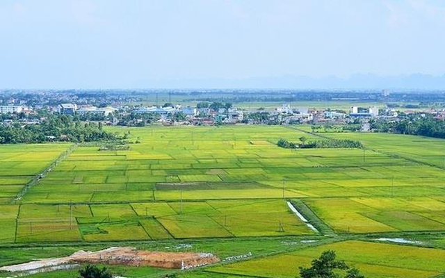 Ảnh minh họa.