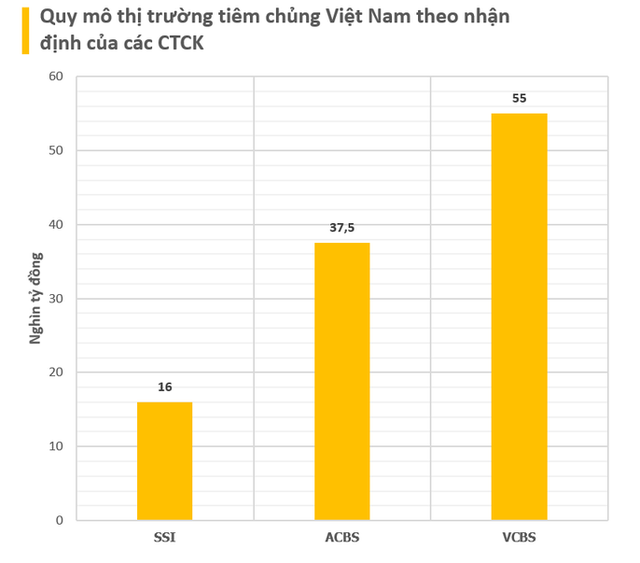 Thế trận thị trường tiêm chủng vaccine hơn 2 tỷ đô tại Việt Nam- Ảnh 6.