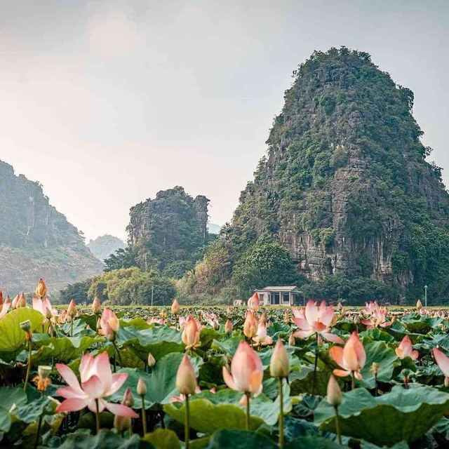 Phát hiện thêm một ''Vịnh Hạ Long trên cạn'' cách Hà Nội  chỉ 80km: Đẹp hoang sơ nhưng hữu tình, có hơn 1000 hang động, còn giữ 2 kỷ lục quốc gia- Ảnh 3.