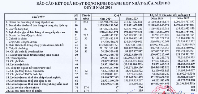 Đất Xanh (DXG): Lãi ròng quý 2 đạt 33 tỷ đồng, bằng 21% cùng kỳ dù doanh thu bán hàng tăng mạnh- Ảnh 2.