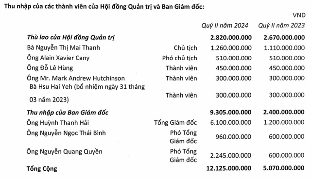 REE báo lãi thấp nhất 11 quý, trả lương, thưởng một lãnh đạo hơn 2 tỷ đồng/tháng- Ảnh 3.