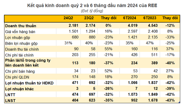 REE báo lãi thấp nhất 11 quý, trả lương, thưởng một lãnh đạo hơn 2 tỷ đồng/tháng- Ảnh 1.