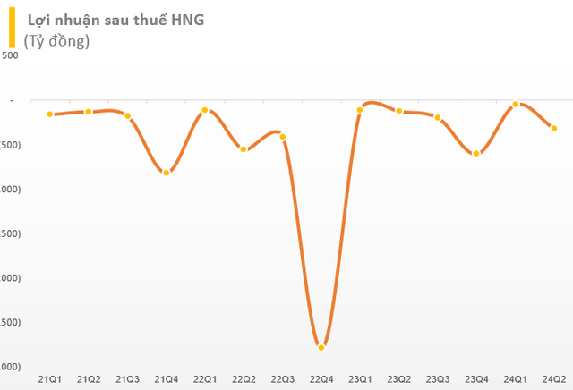 HAGL Agrico báo lỗ đậm trong quý 2 sau phát biểu 