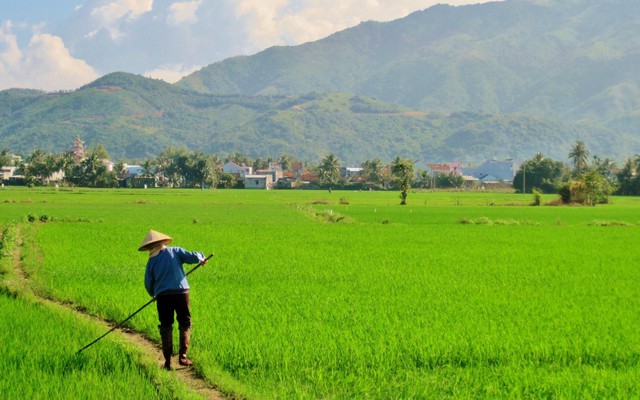 "Người dân không thể ngồi yên sử dụng đất ruộng chỉ để trồng lúa khi thị trường bất động sản sôi động"