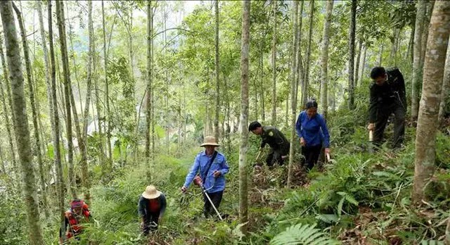 Ảnh minh họa - Ảnh: TTXVN.