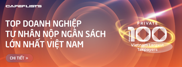 Công bố PRIVATE 100: 100 doanh nghiệp tư nhân nộp ngân sách lớn nhất Việt Nam- Ảnh 6.