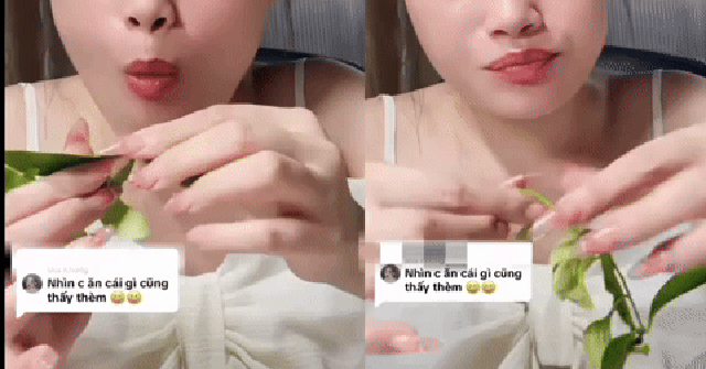 Gần 5 triệu người “ứa nước miếng online” khi xem cô gái Bắc Giang mukbang cây nhà lá vườn