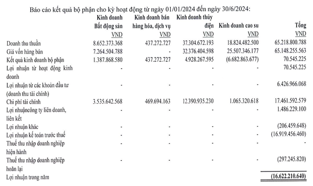 郭強嘉萊半年後損失了150億越南盾，領導層的總收入翻了一番，但執行長的薪資只有1100萬越南盾/月 - 圖1。