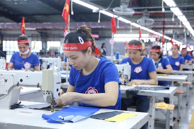 TNG báo lãi cao nhất lịch sử: 315 tỷ đồng trong năm 2024, tăng 44%