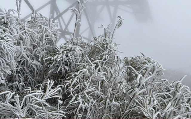 Nhiệt độ xuống -2°C, tuyết rơi dày phủ trắng đỉnh Fansipan Nhiệt độ xuống -2°C, tuyết rơi dày phủ trắng đỉnh Fansipan