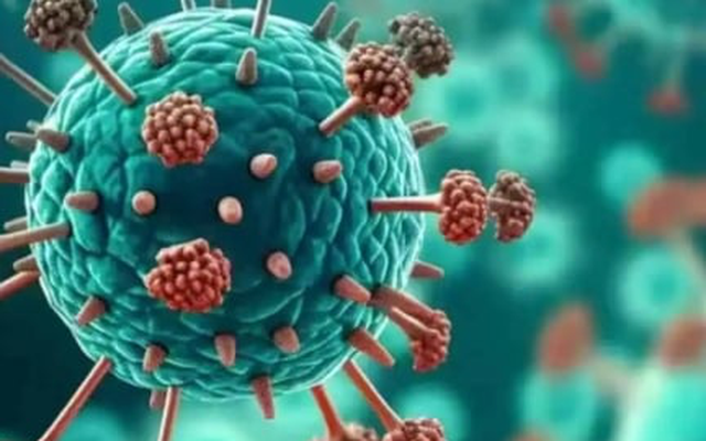 Sở Y tế TP.HCM: HMPV không phải là virus mới, từng được phát hiện ở Việt Nam Sở Y tế TP.HCM: HMPV không phải là virus mới, từng được phát hiện ở Việt Nam