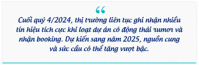 BHS R&D: Thị trường bất động sản đã tốt lên từ 2024, kỳ vọng rực rỡ vào 2025 và tăng tốc ổn định vào 2026- Ảnh 9.