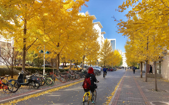 Cảnh tượng ngay lúc này tại Bắc Kinh khiến nhiều người ngỡ ngàng, nhận xét: "Không thể diễn tả nổi!"