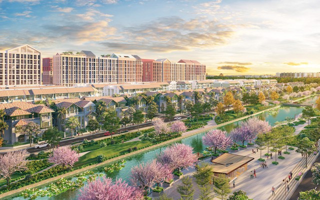 Cư dân Flora Avenue: Sống giữa sắc hoa, sống giữa cân bằng