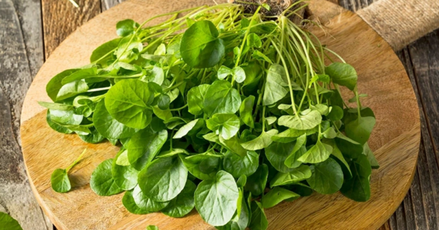 Việt Nam sở hữu loại rau "chống ung thư tốt nhất thế giới", tốt cho sức khỏe tim mạch và xương khớp