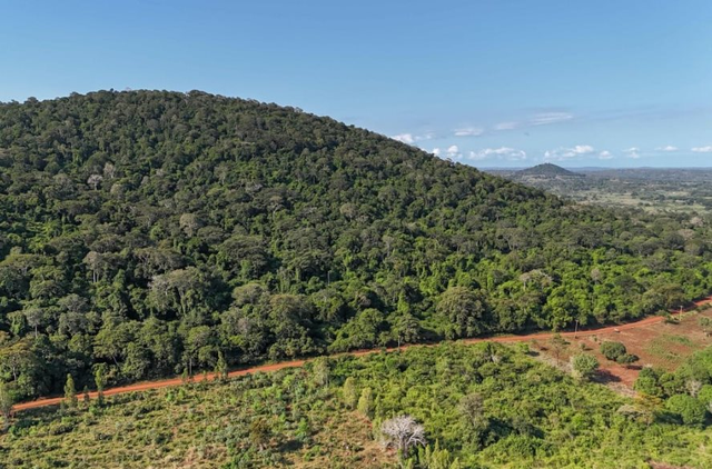 Phát hiện kho báu đất hiếm trị giá 62,4 tỷ USD nằm la liệt dưới cánh rừng 157 hecta, Mỹ và Trung Quốc đồng loạt lên dây cót, chạy đua giành phần thắng