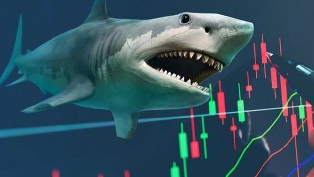 Cổ phiếu FPT và một mã ngân hàng có thể được loạt cá mập tổng quy mô 14.000 tỷ "săn lùng" trong kỳ cơ cấu quý 4