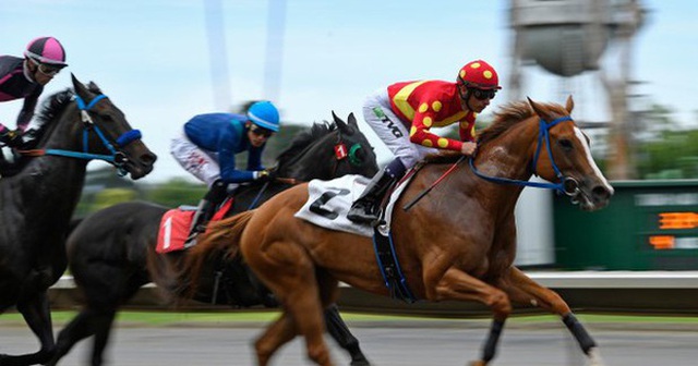 2.000 tỷ đồng lãi gộp mảng môi giới chứng khoán quý 3: Biên lợi nhuận bật lên mức cao nhất 4 năm